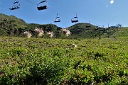 13 Salgo in direttissima la pista di sci verso Montebello- Terrazza Salomon